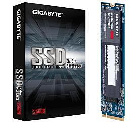 GIGABYTE NVMe  SATA SSD 256GB-M.2 2280 (GP-GSM2NE3256GNTD)