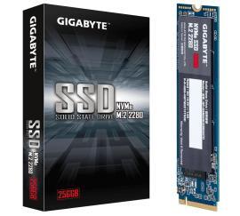 GIGABYTE NVMe SATA SSD 256GB-M.2 2280 (GP-GSM2NE3256GNTD) GIGABYTE NVMe SATA SSD 256GB-M.2 2280 (GP-GSM2NE3256GNTD)